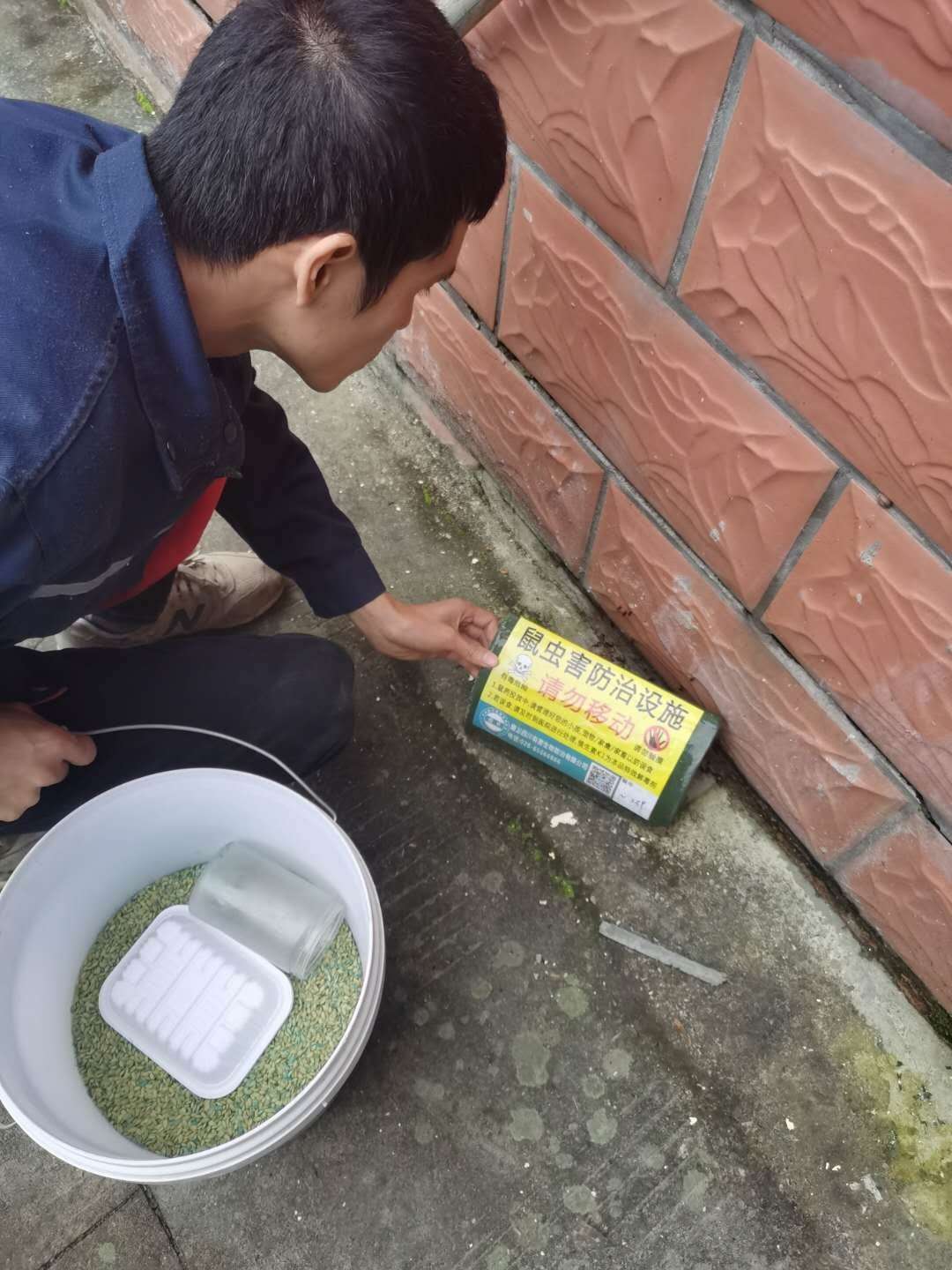 广安除四害